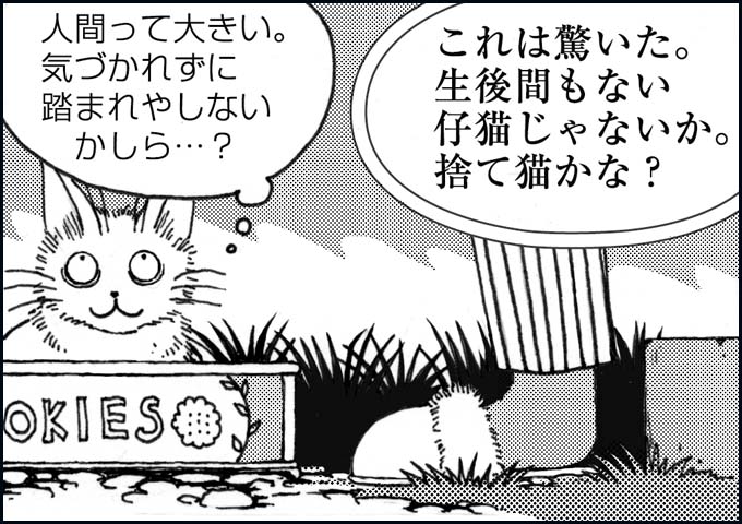 mono_2_06.jpg
