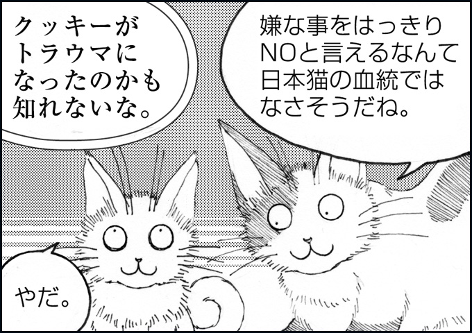 mono_3_04.jpg