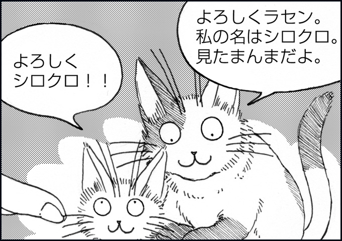 mono_3_08.jpg