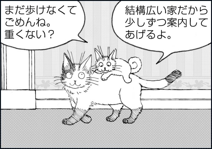 mono_4_01.jpg