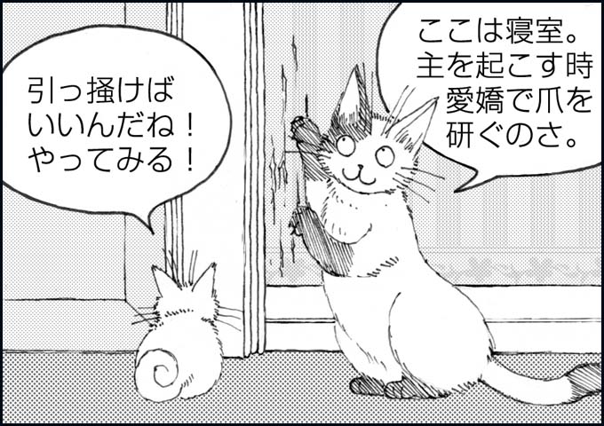 mono_4_02.jpg