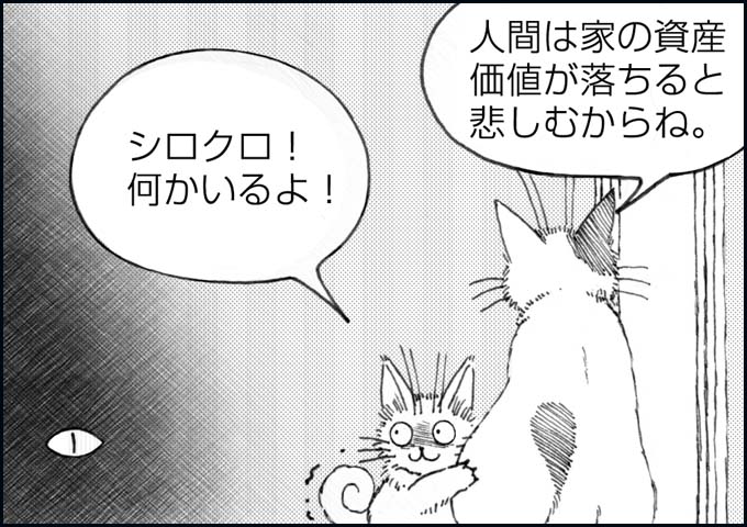 mono_4_05.jpg