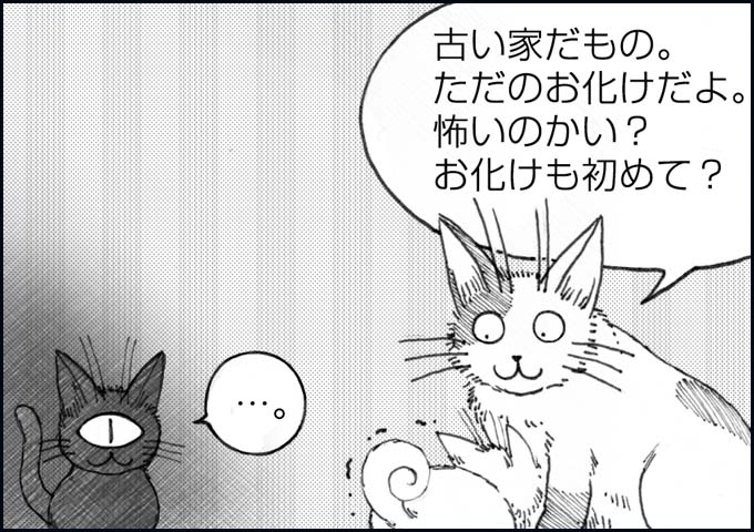mono_4_06.jpg