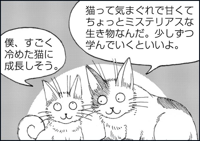 mono_4_08.jpg