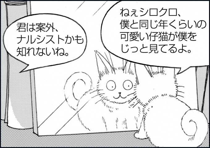 mono_5_02.jpg