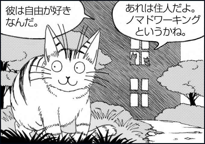 mono_5_04.jpg