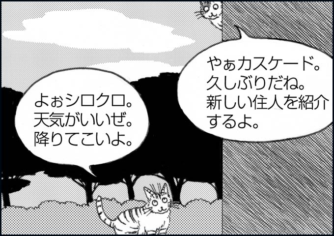 mono_5_05.jpg
