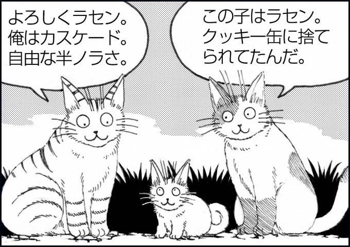 mono_5_06.jpg