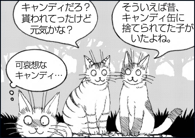 mono_5_08.jpg