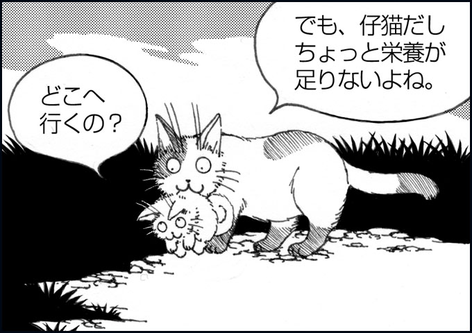 mono_6_04.jpg