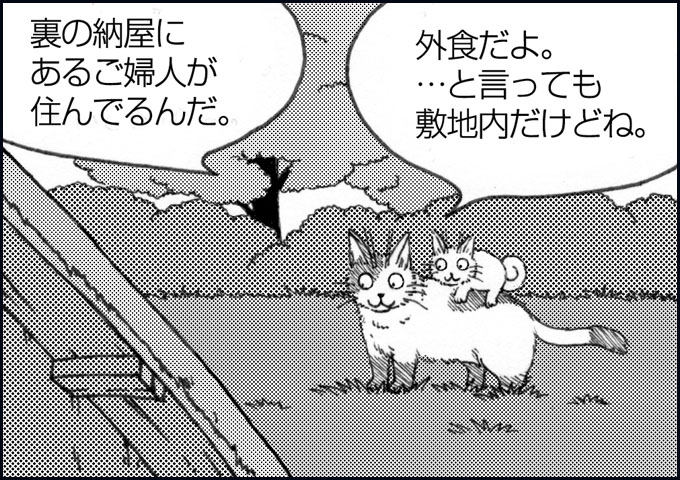 mono_6_05.jpg