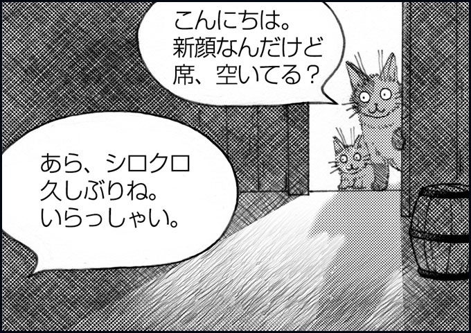 mono_6_06.jpg
