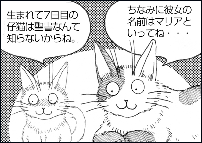mono_7_02.jpg