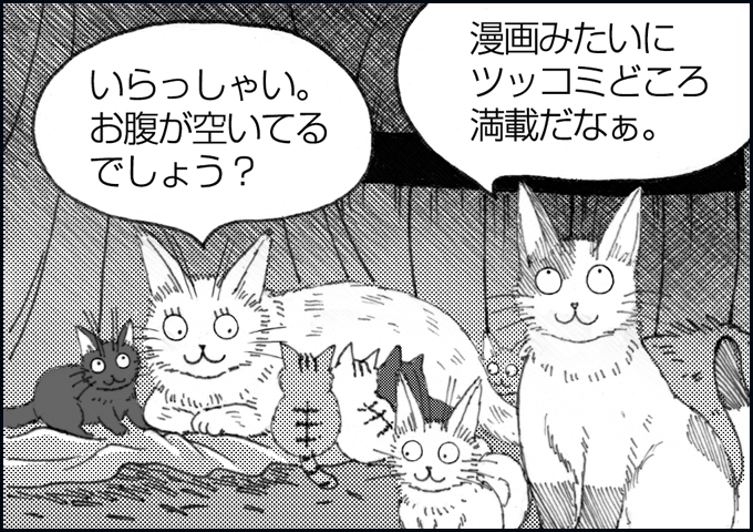 mono_7_03.jpg
