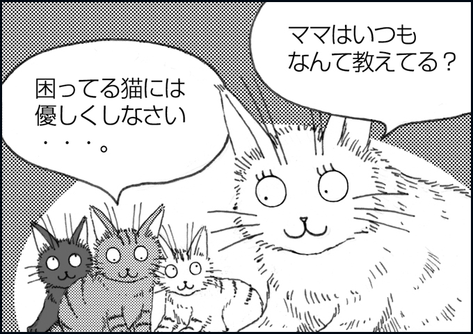 mono_7_05.jpg