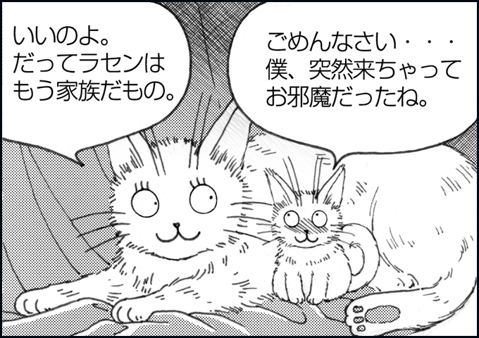 mono_7_06.jpg