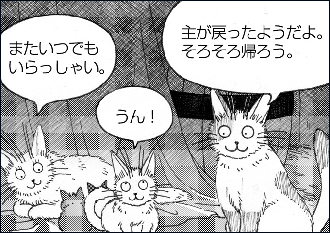 mono_8_01.jpg