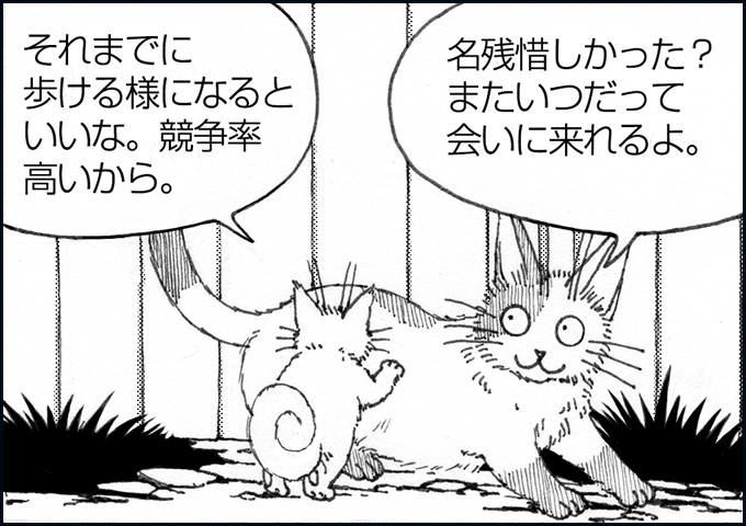 mono_8_02.jpg
