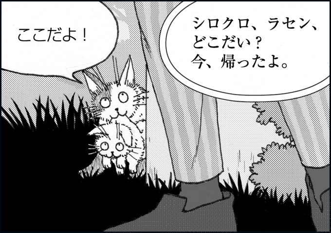 mono_8_04.jpg