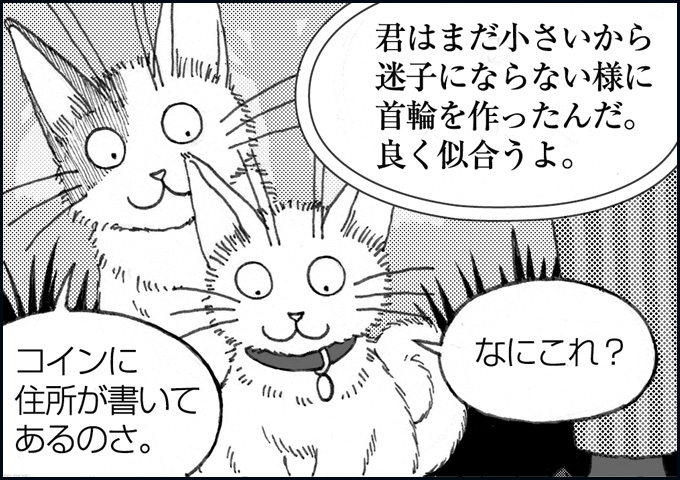 mono_8_06.jpg