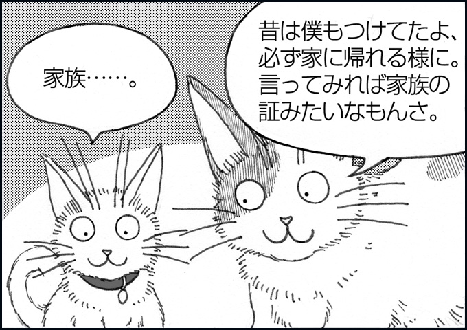mono_8_07.jpg