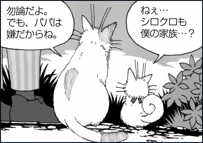 mono_8_08.jpg