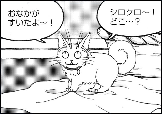mono_9_01.jpg