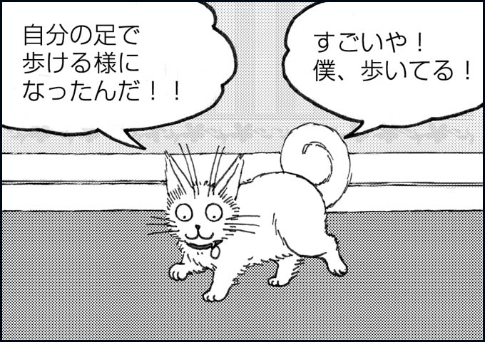 mono_9_04.jpg