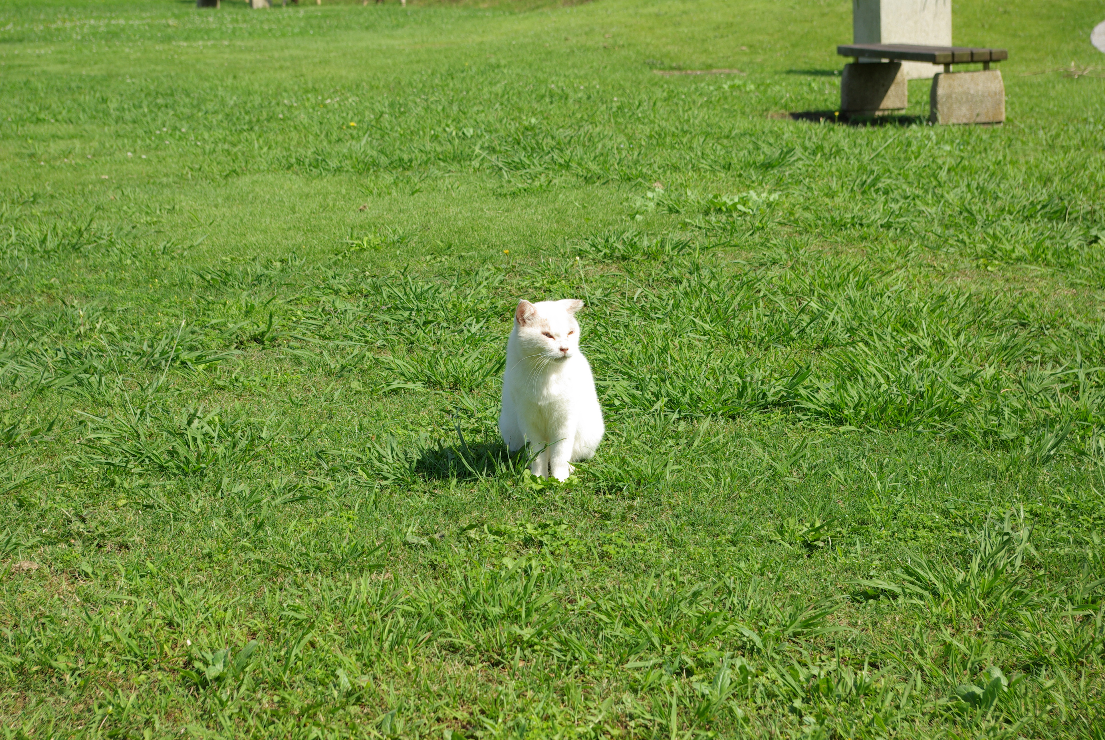 IMGP0203.JPG