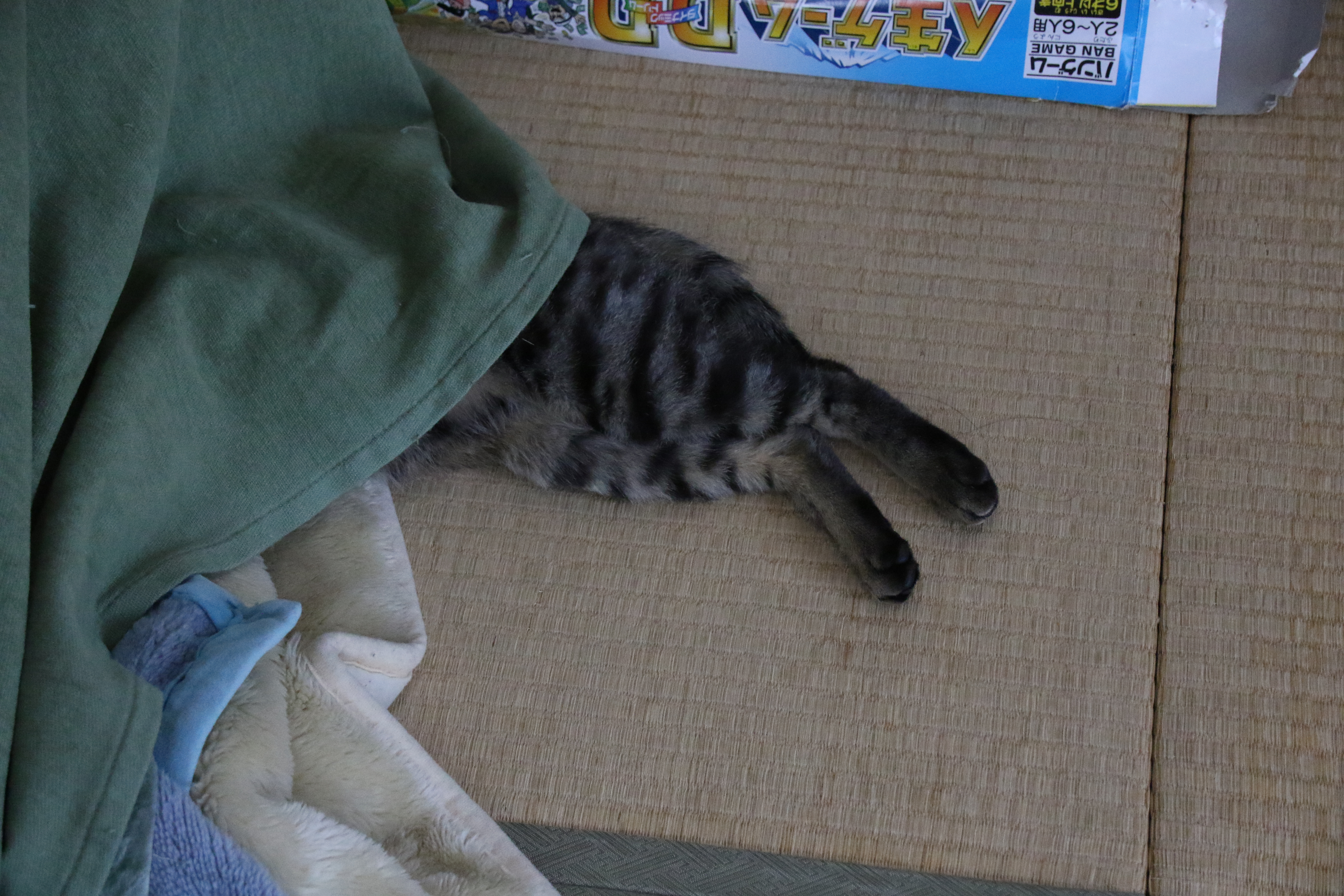 SN2A7490.JPG