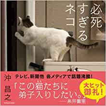 hishii.jpg