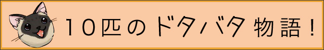 banner_640_100_10.jpg