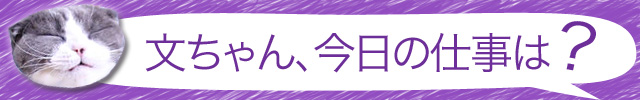 banner_640_100_bun.jpg