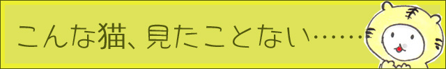 banner_640_100_koyori.jpg