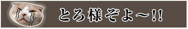 banner_640_100_toro.jpg