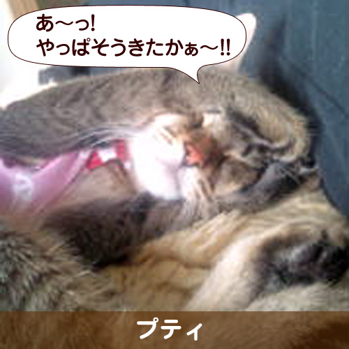 110110_touko.jpg