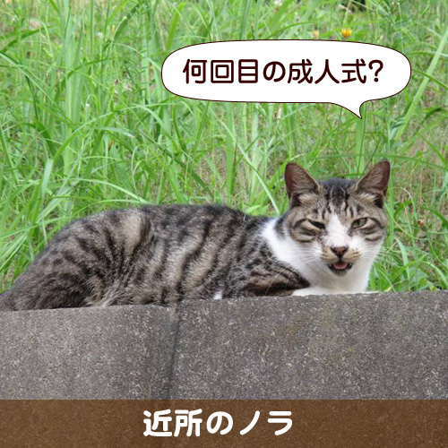 110114_touko.jpg