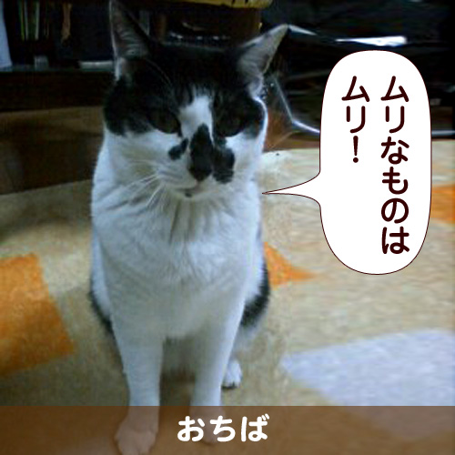 110118_touko.jpg