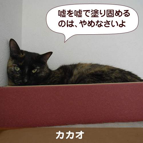 110119_touko.jpg