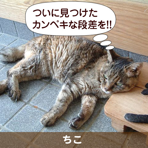 110123_touko.jpg