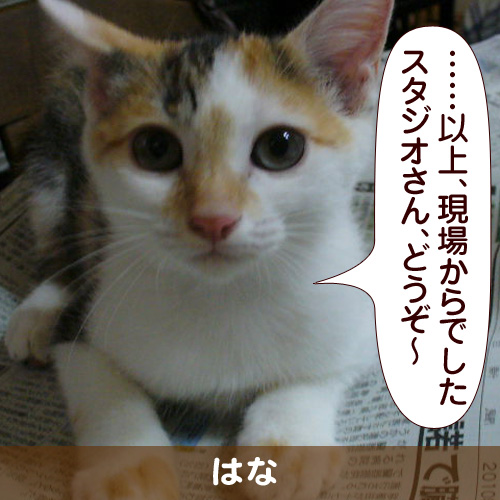 110125_touko.jpg