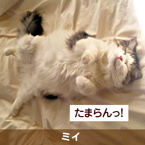 110127_touko.jpg