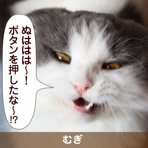 110128_touko.jpg