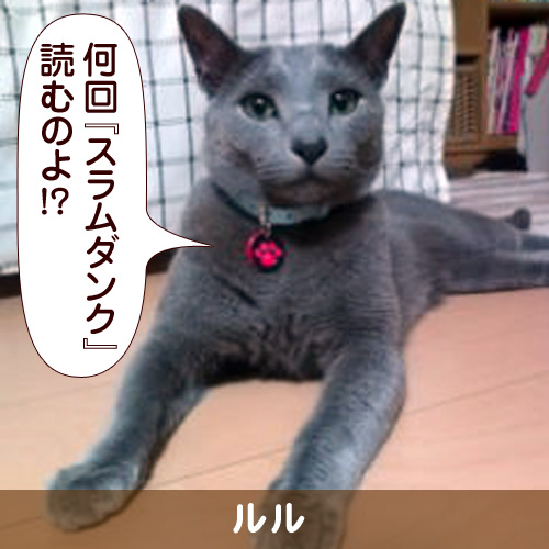110129_touko.jpg