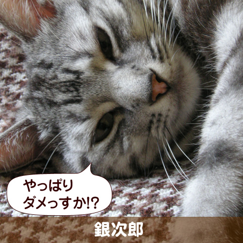 110130_touko.jpg
