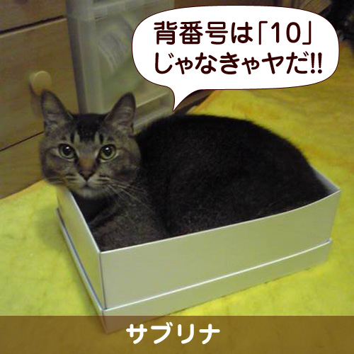 110138_touko.jpg