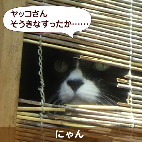 110140_touko.jpg