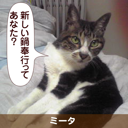 110143_touko.jpg