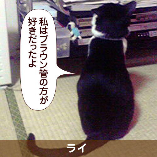 110144_touko.jpg