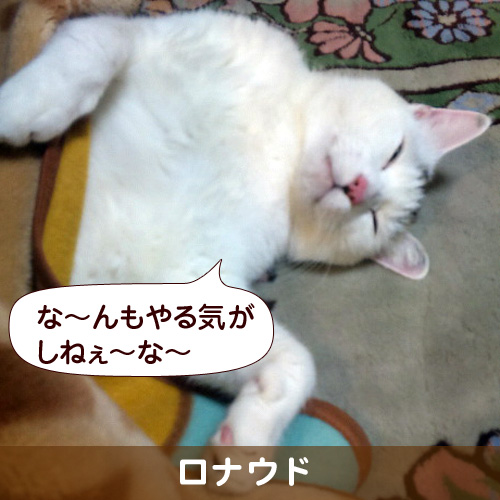 110145_touko.jpg